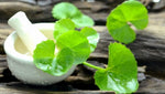 BRAMHI, BACOPA FRESH LEAF