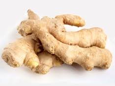 GINGER ROOT