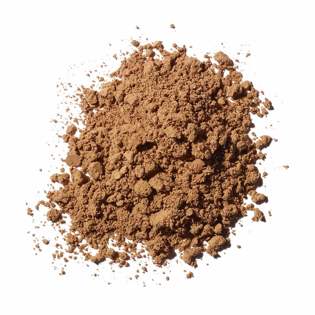 reishi mushroom powder